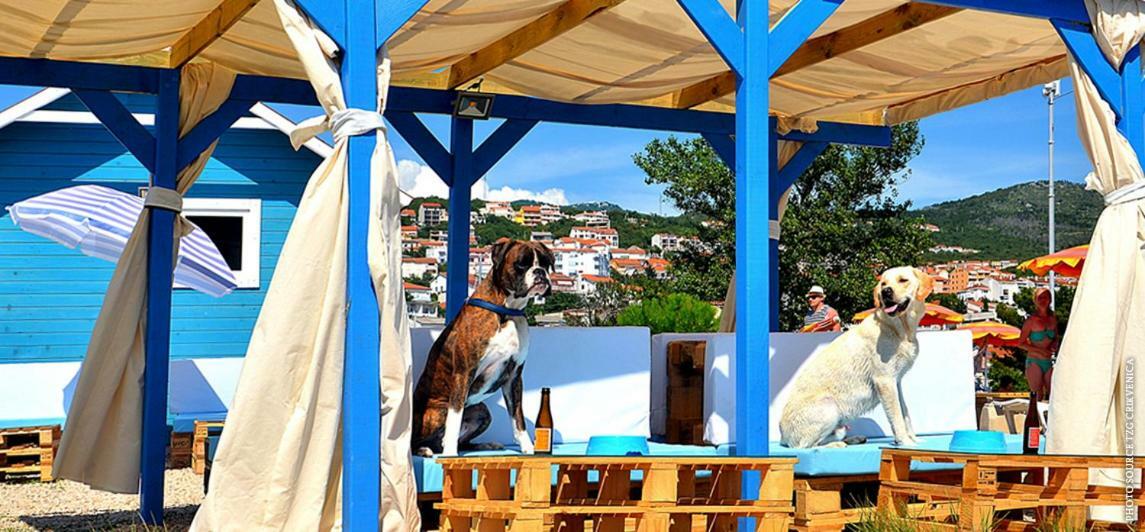 Apartments Anita Crikvenica Dış mekan fotoğraf